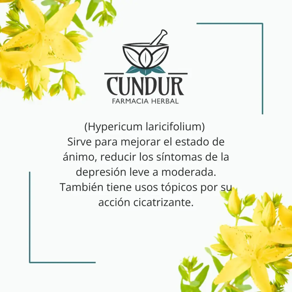 Tintura Hipérico ramas frasco 30ml