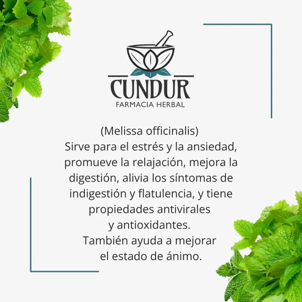 Info torongil.webp
