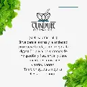 Info torongil.webp
