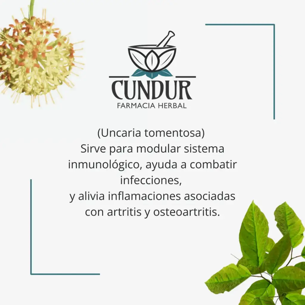 Tintura Uña de gato corteza frasco 30ml