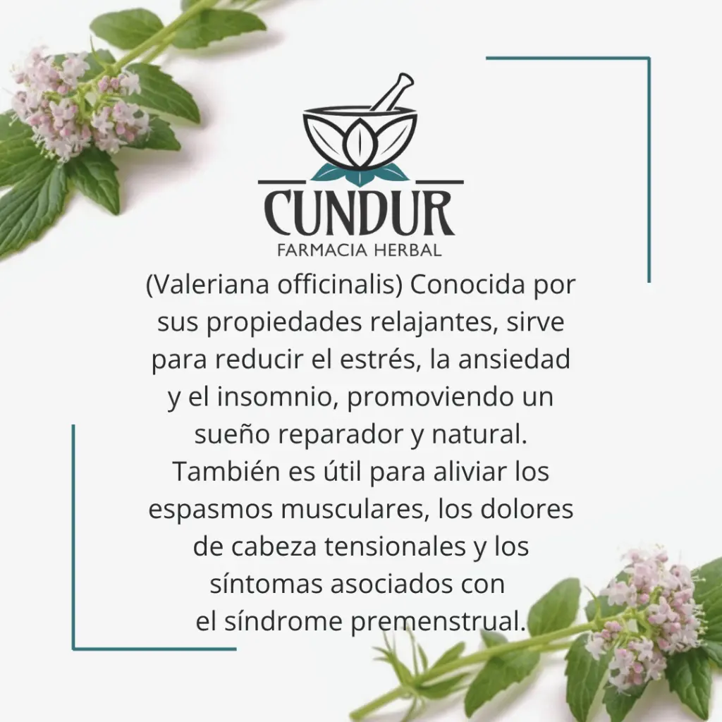 Info Valeriana.webp