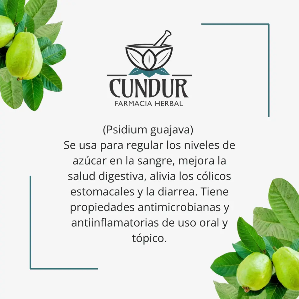 Tintura Guayaba hojas frasco 30ml