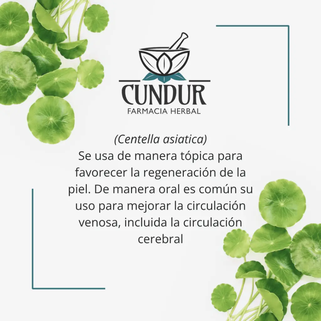 Info centella PDV.webp
