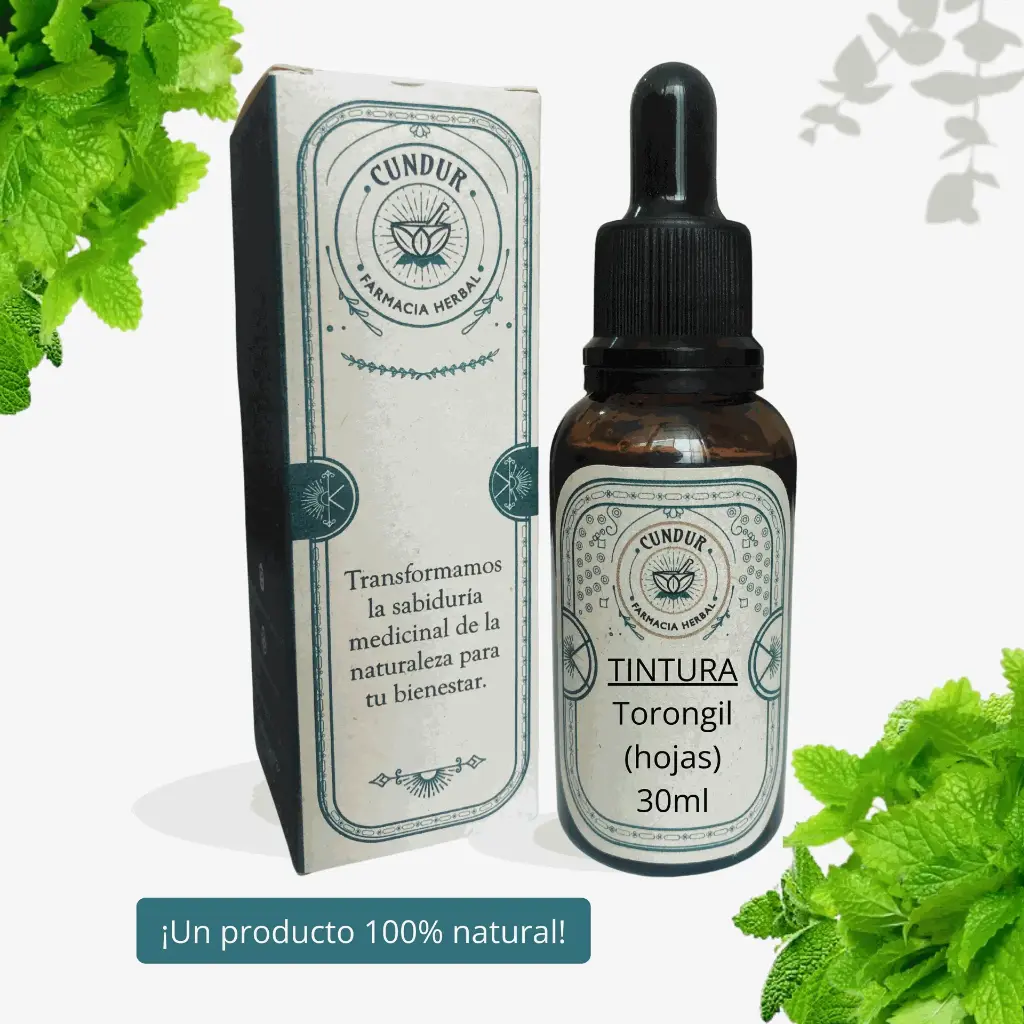Tintura Torongíl hojas frasco 30ml