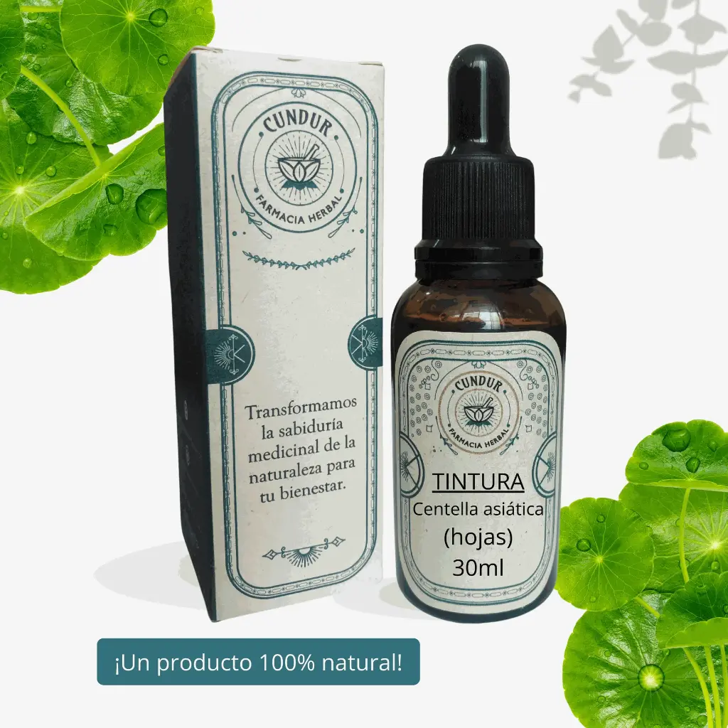 Tintura Centella hojas frasco 30ml