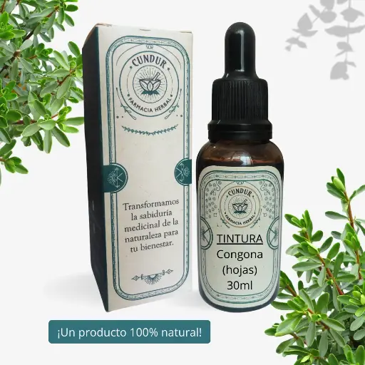 [T1L01010] Tintura Congona hojas frasco 30ml
