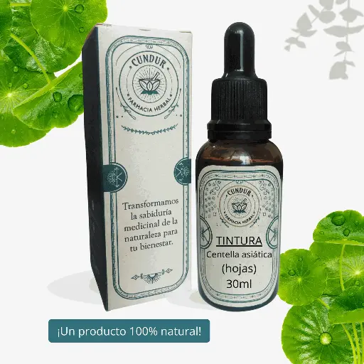 [T1L01012] Tintura Centella hojas frasco 30ml