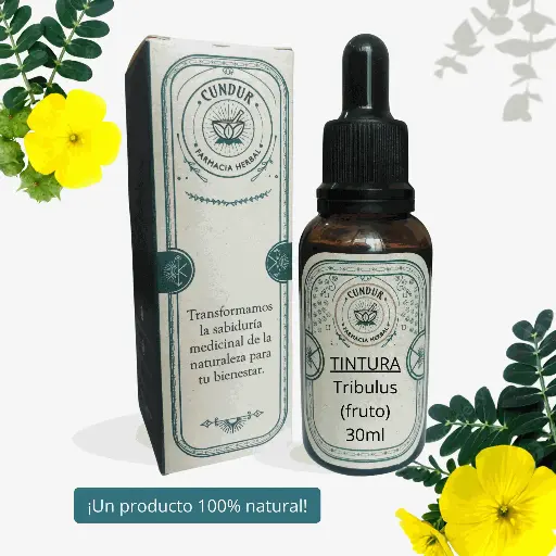 [T1L01019] Tintura Tribulus fruto frasco 30ml 