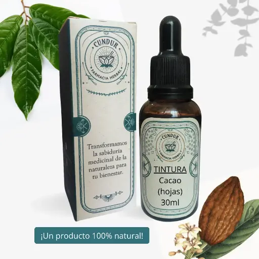 [T1L01021] Tintura Cacao hojas frasco 30ml