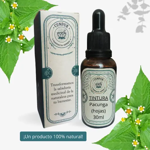 [T1L01024] Tintura Pacunga ramas frasco 30ml