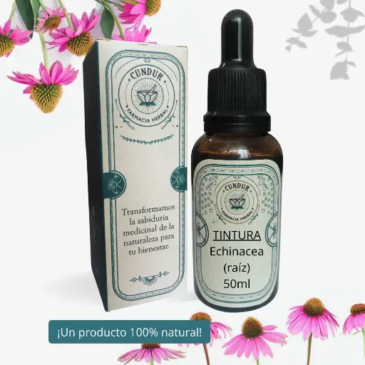 [T1L01025] Tintura Echinacea raíz 50ml