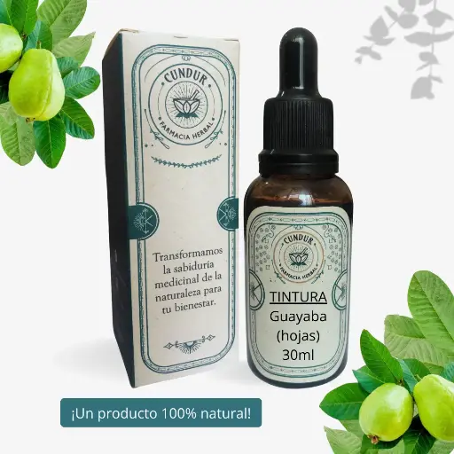 [T1L01002] Tintura Guayaba hojas frasco 30ml