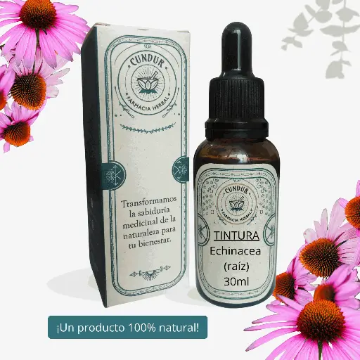 [T1L01017] Tintura Echinacea raíz 30ml