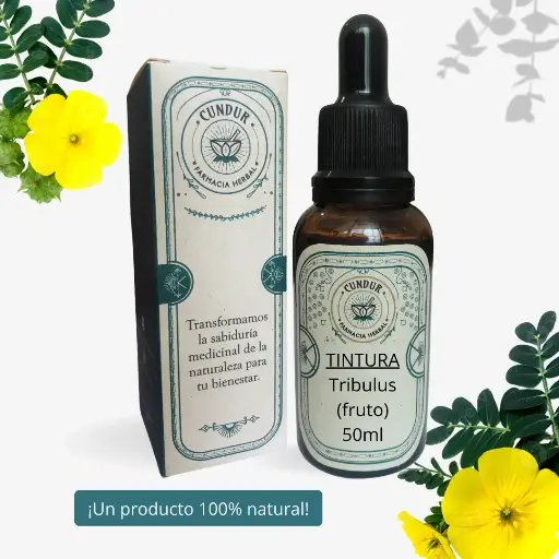 [T1L01004] Tintura Tribulus fruto frasco 50ml